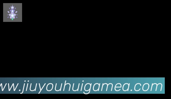 九游会合作伙伴