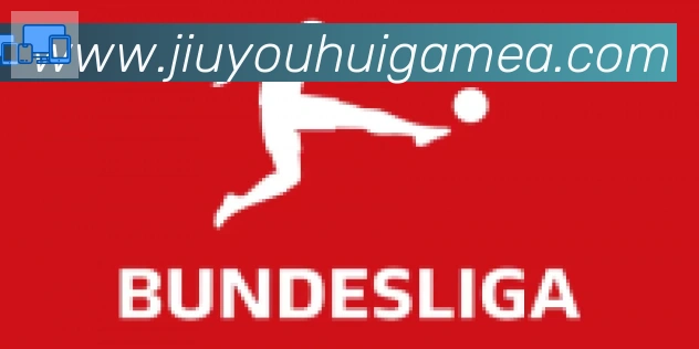 九游会合作伙伴